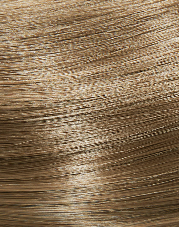 Light Brown / Dark Blonde