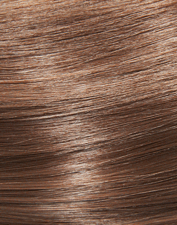 Light Brown / Dark Blonde